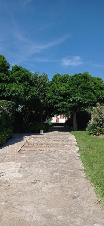 Tenuta Don Monaco - Agriturismo 산타체사리텀 외부 사진
